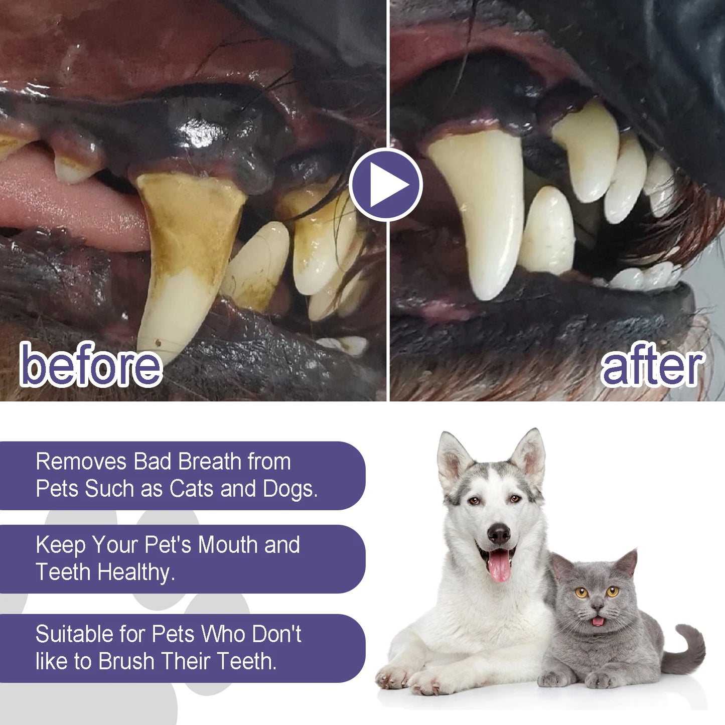 Pet Dental Care Gel Pen (3ml)