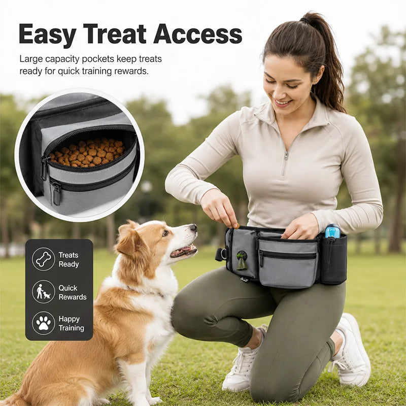 Pet Training Waist Treat Bag