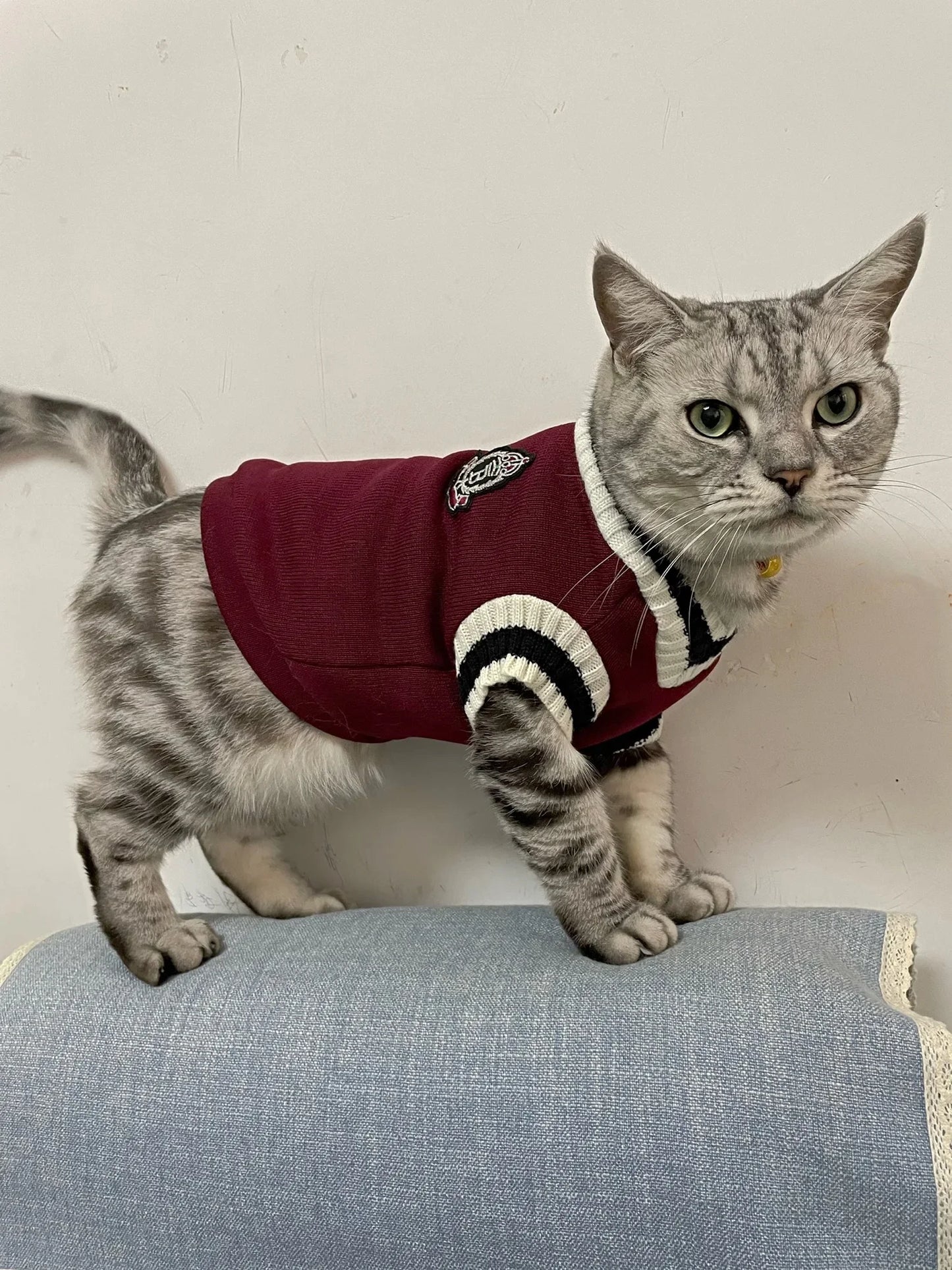 Pet Winter Jacket