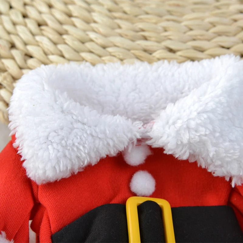 Christmas Santa Pet Costume