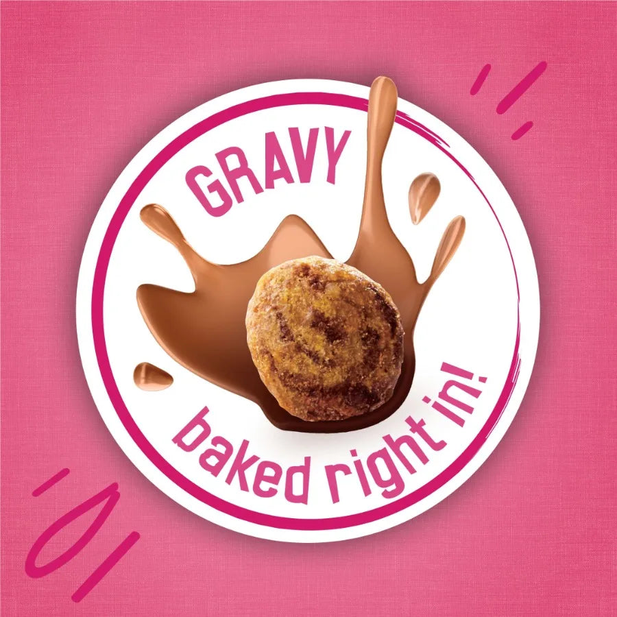 Gravy Swirlers Dry Cat Food (22 lb)