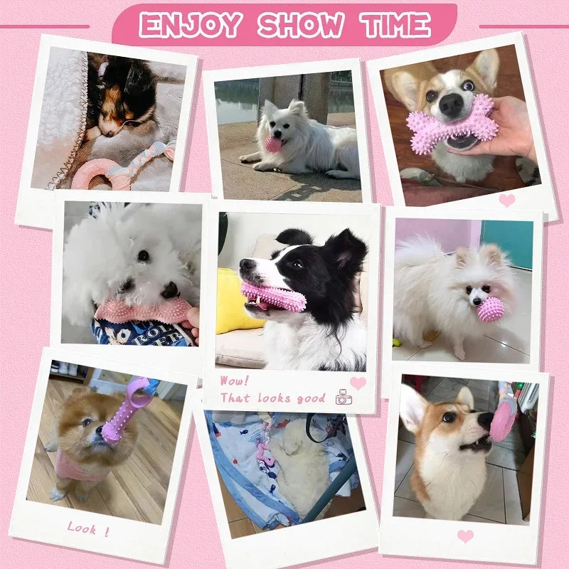 Dog Dental Chew Toy Set