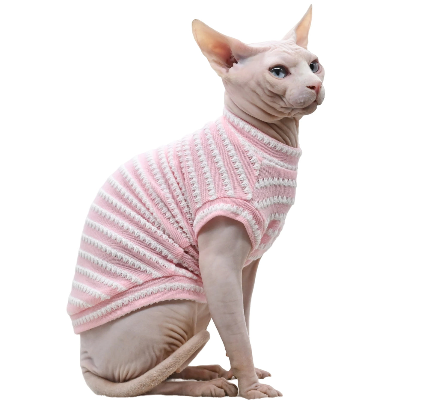 Sphynx Cat Shirt