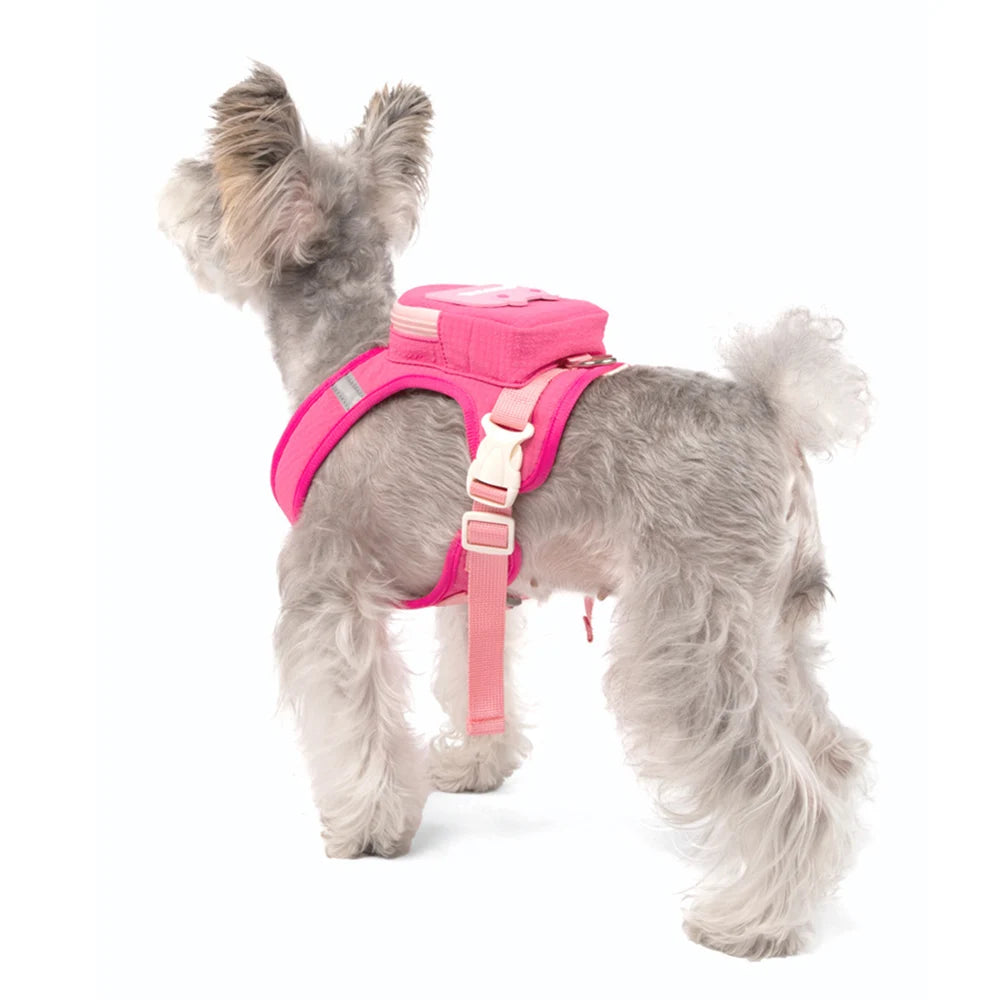 Cute Reflective Pet Harness & Leash Set