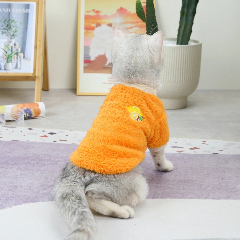 Fruit Print Pet Hoodie