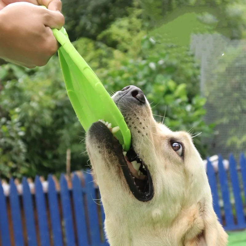 Silicone Flying Disc Dog Toy