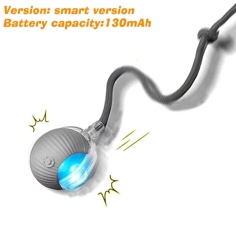 Automatic Rechargeable Interactive Dog Ball Toy
