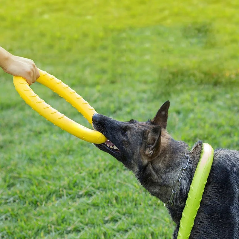 EVA Floating Dog Flying Disc Toy