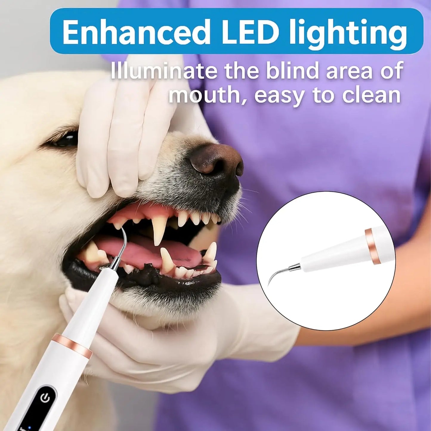 Ultrasonic Pet Teeth Cleaning Scaler