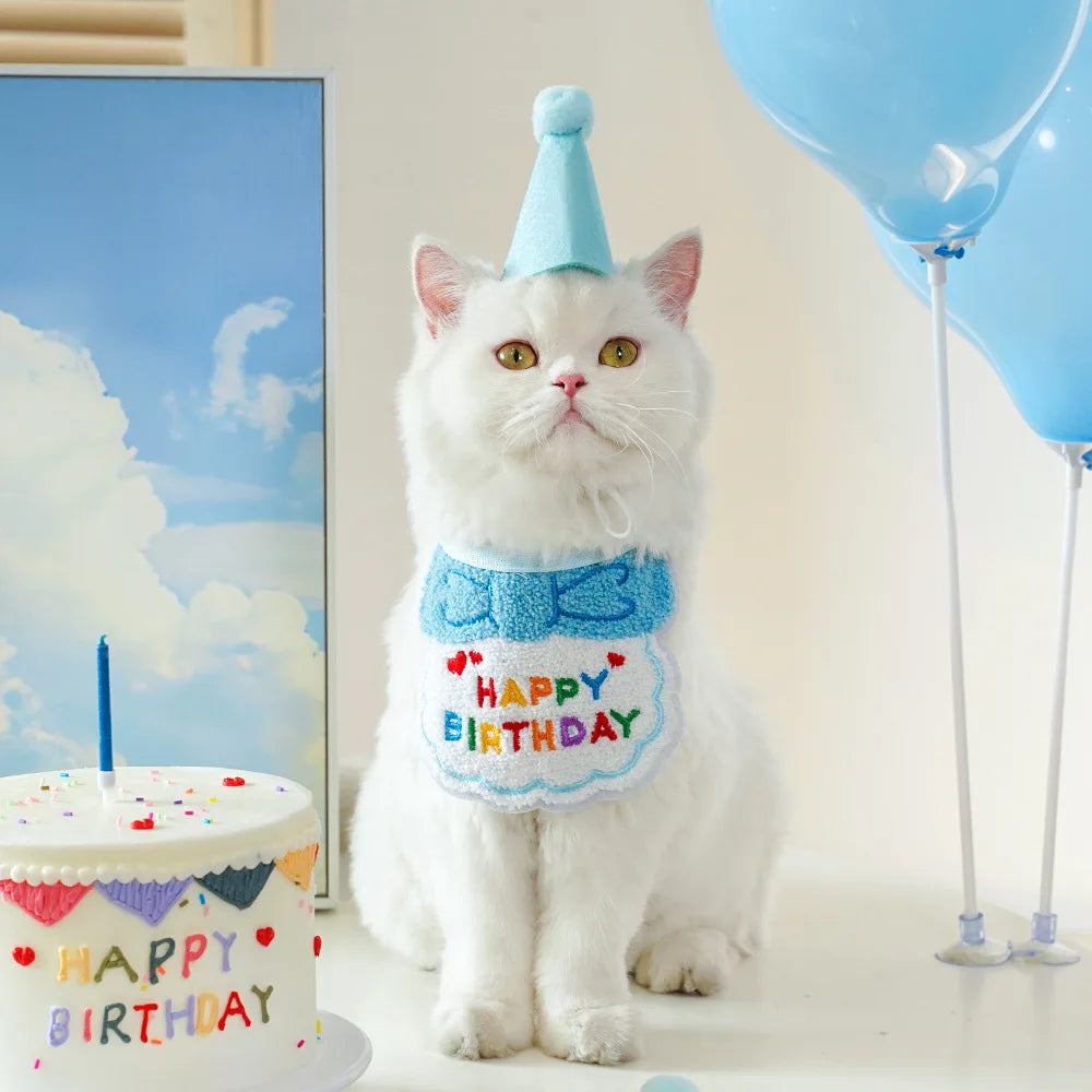 Pet Birthday Hat & Scarf Set