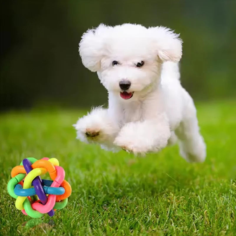 Colorful Rubber Dog Ball with Bell