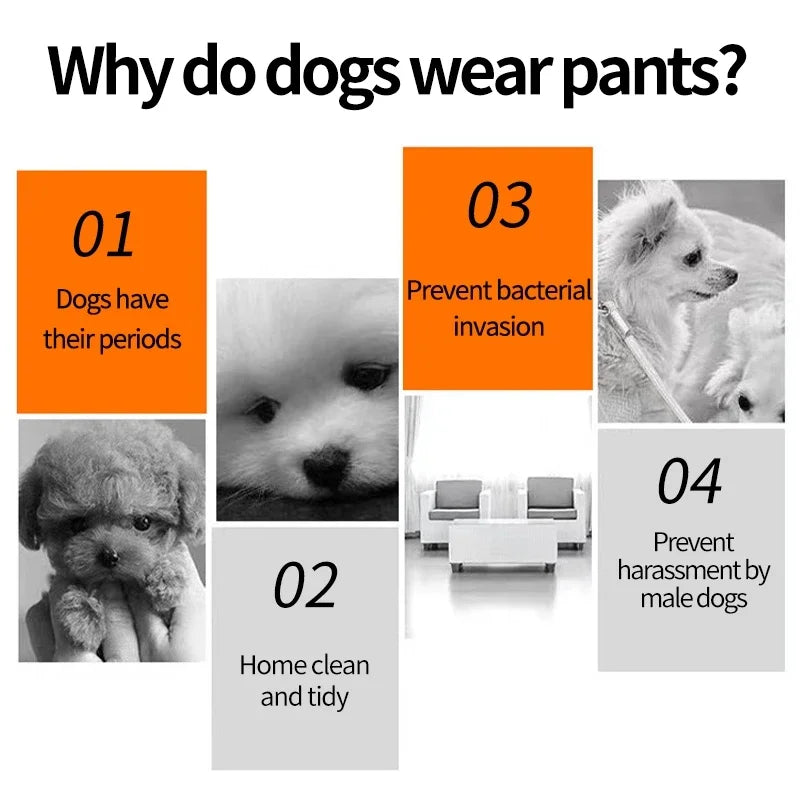 Washable Female Dog Diapers