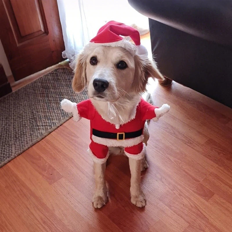 Santa Pet Costume