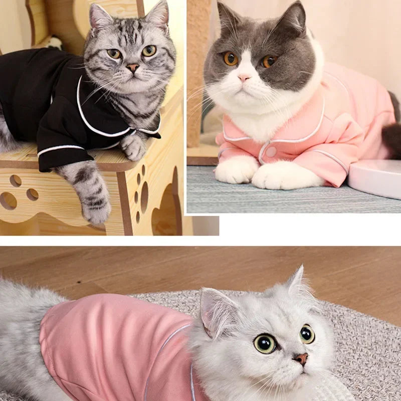 Summer Dog Pajamas