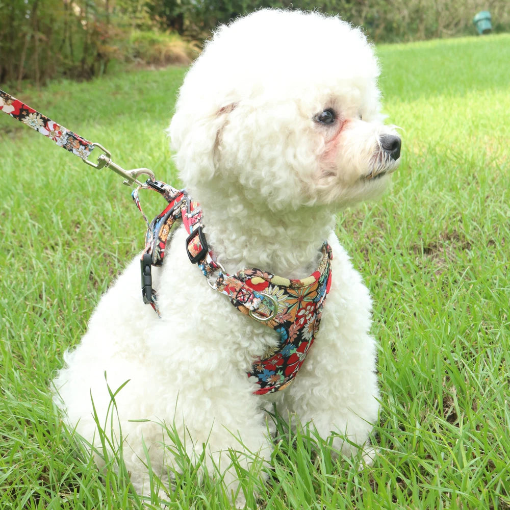 Soft Adjustable Dog Harness & Leash Set