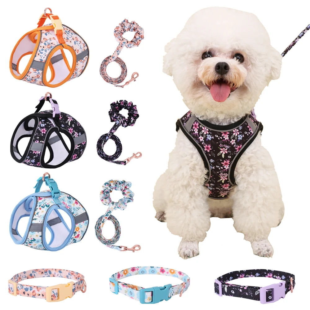 Soft Adjustable Dog Harness & Leash Set