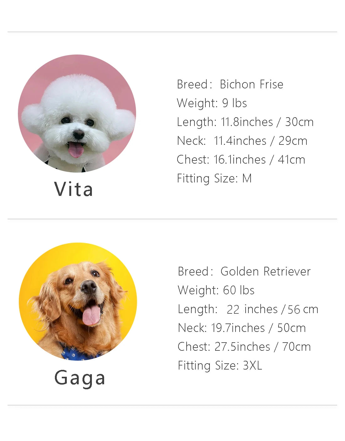 Double-Layer Reversible Dog Raincoat