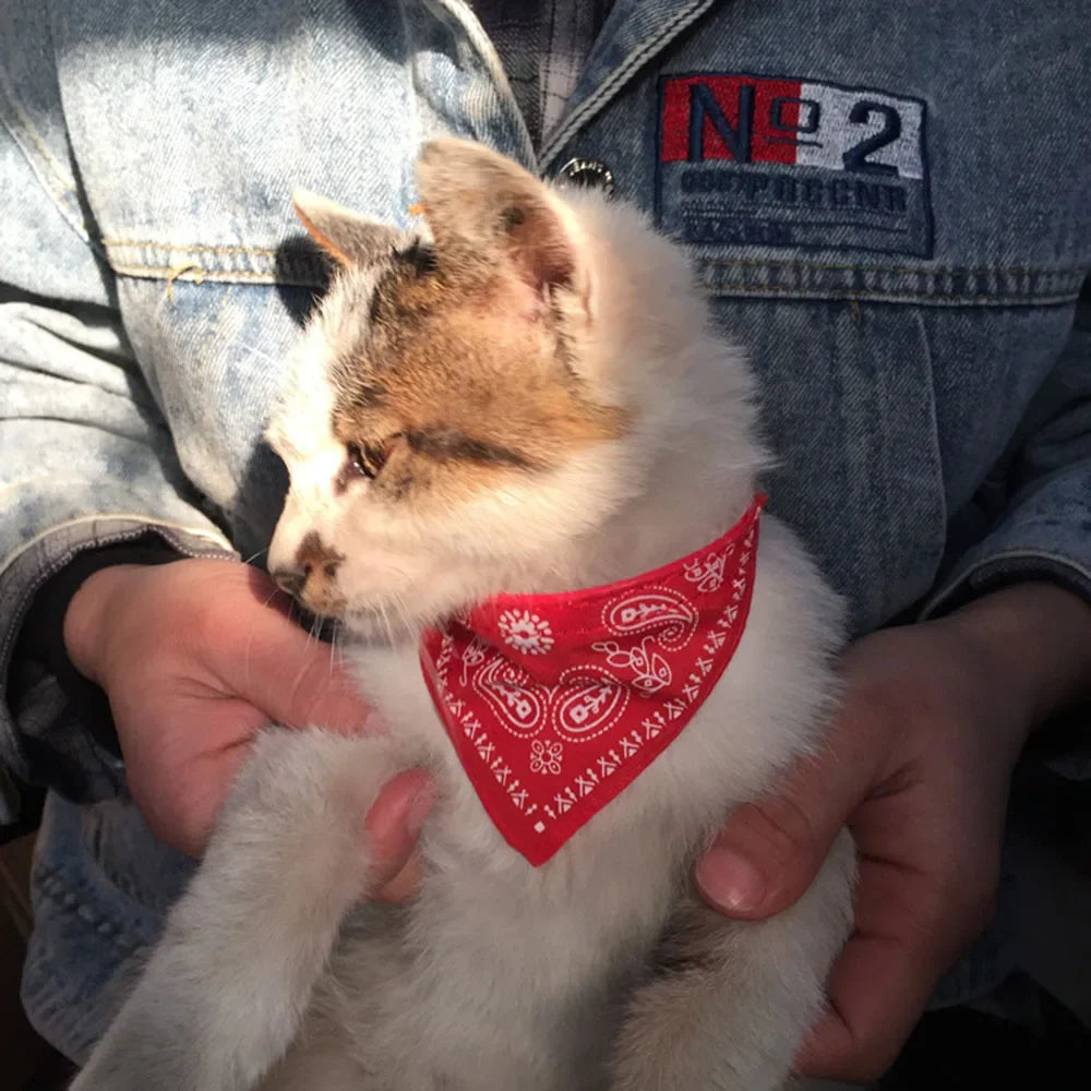Printed Pet Bandana Collar