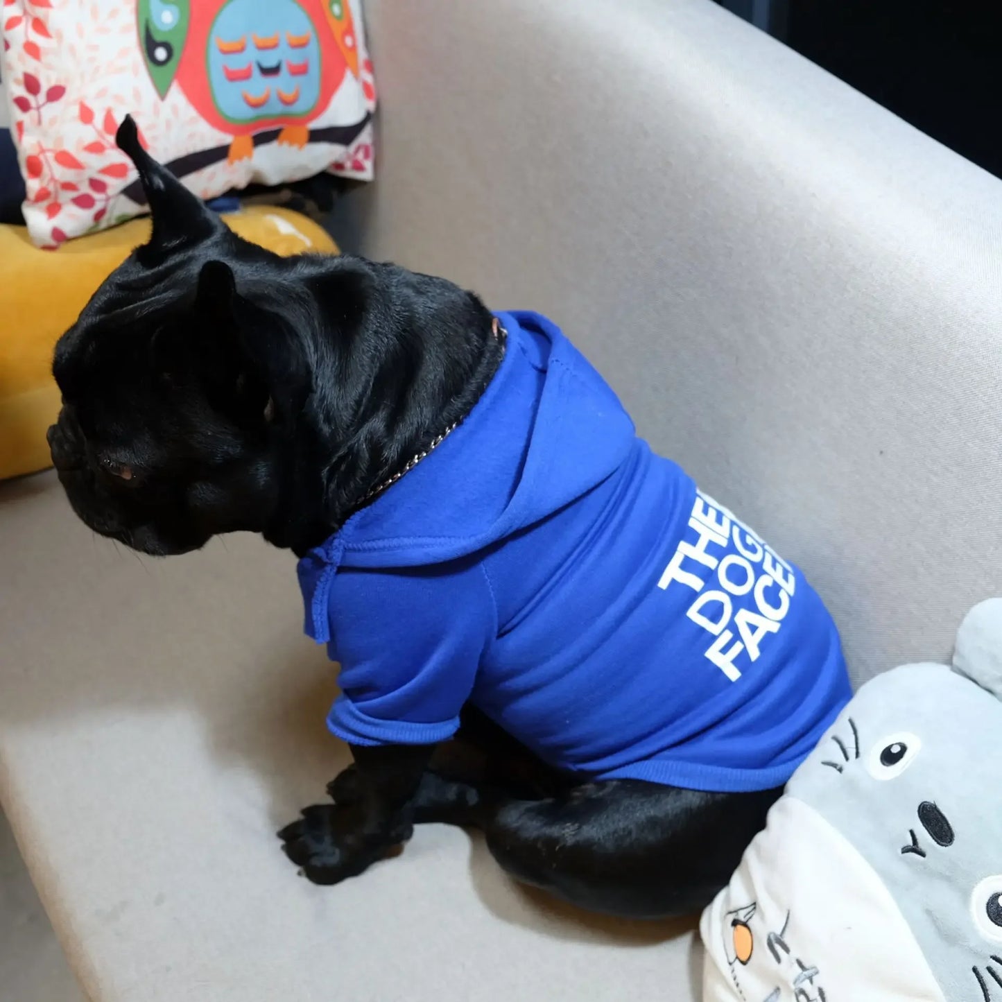 Large Dog Hoodie