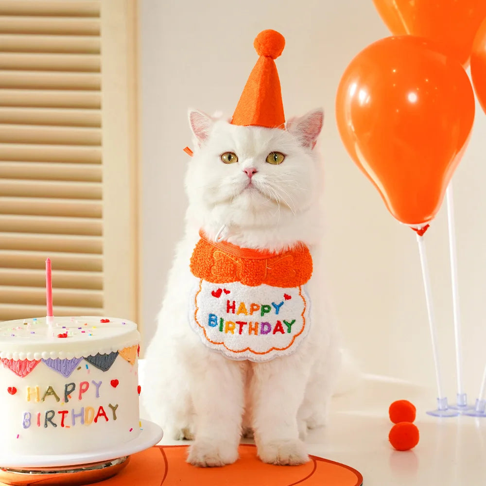 Pet Birthday Hat & Scarf Set