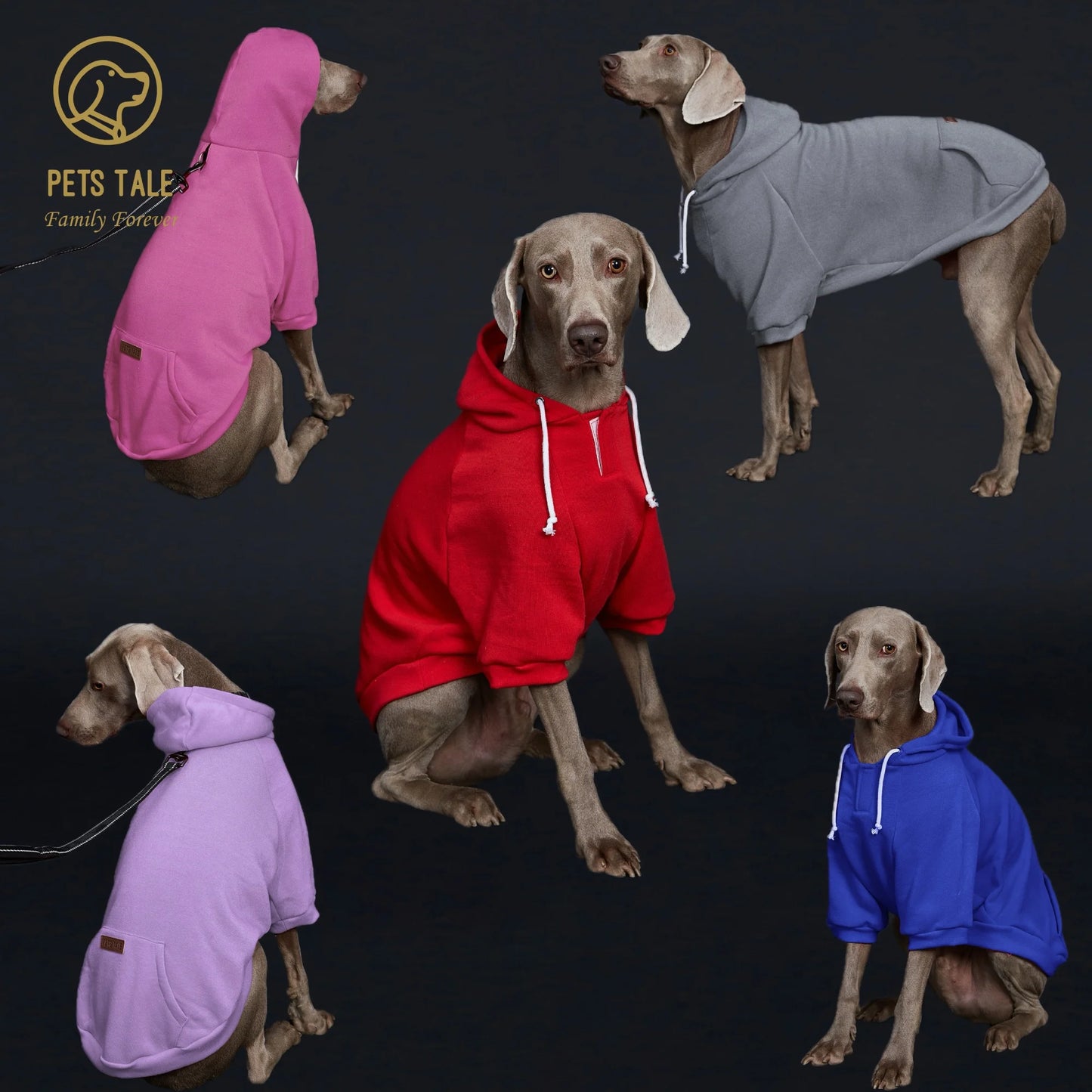 Dog Hoodie with Pocket