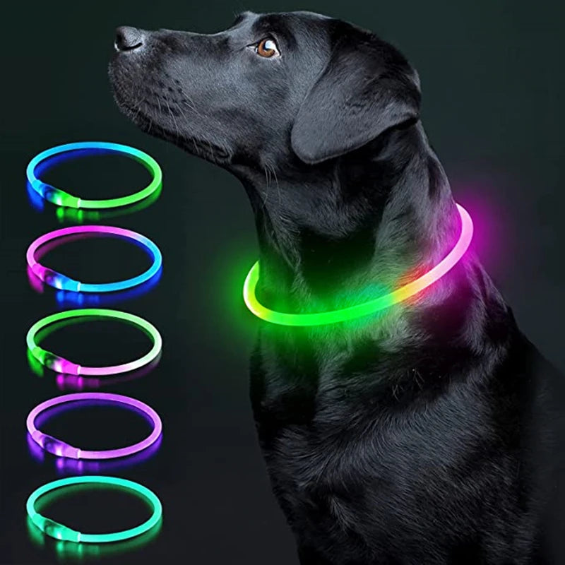 USB Rechargeable LED Glowing Pet Collar