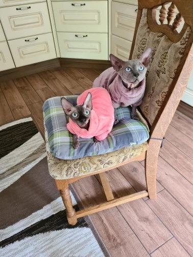 Sphynx Cat Hoodie