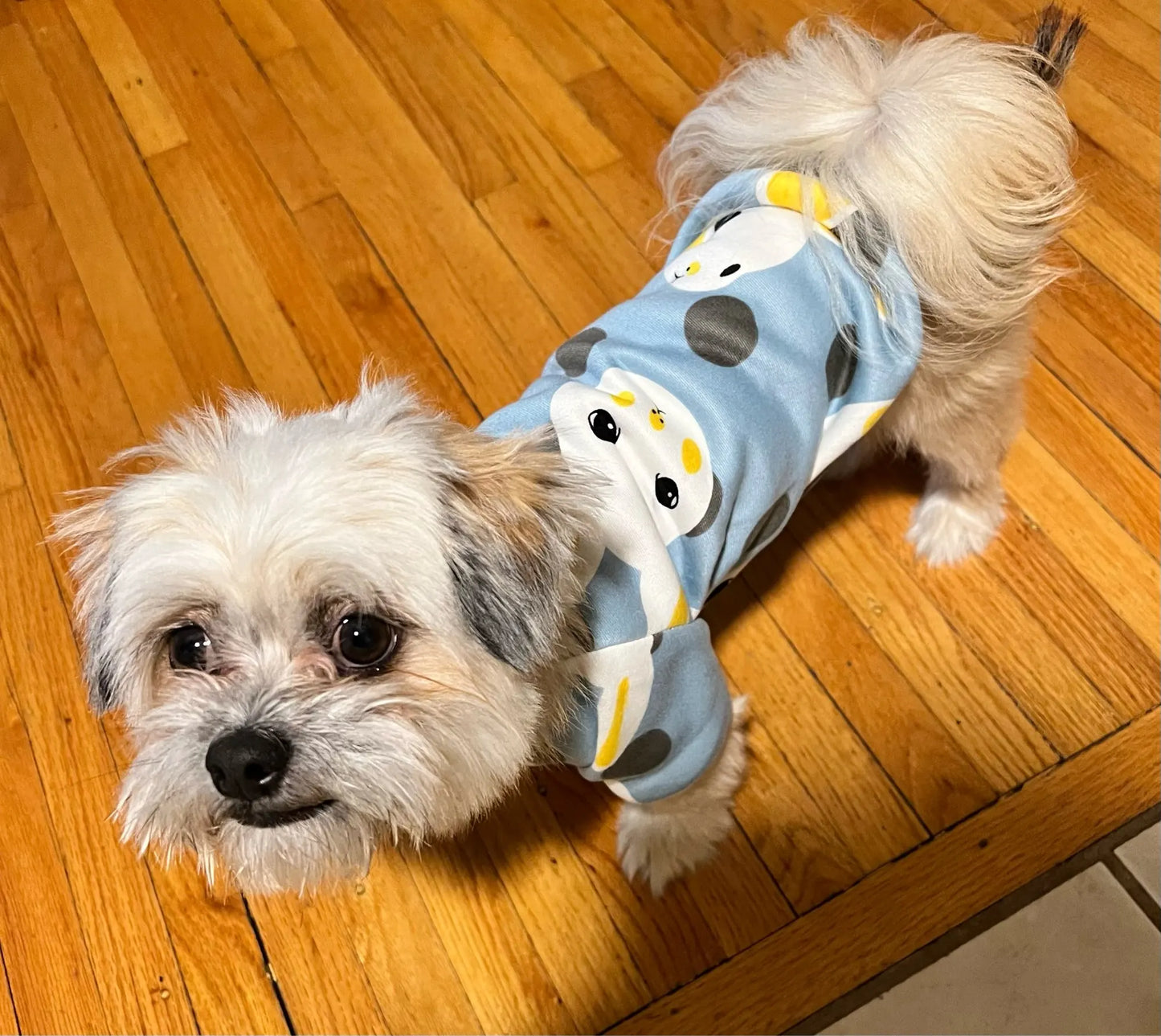 Small Dog Pet Jacket Shirt