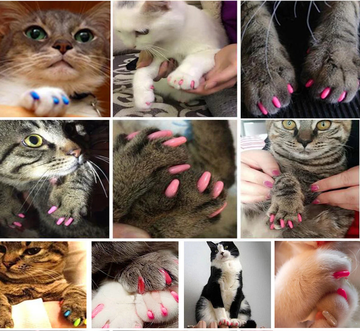 Soft Silicone Cat Nail Caps (20 pcs)