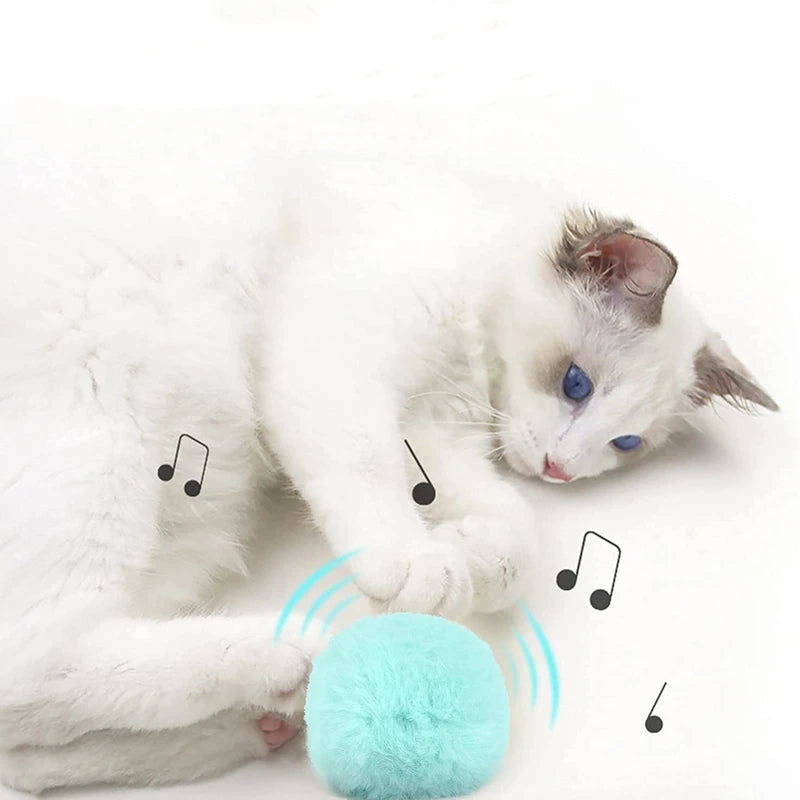 Smart Interactive Catnip Ball Toy