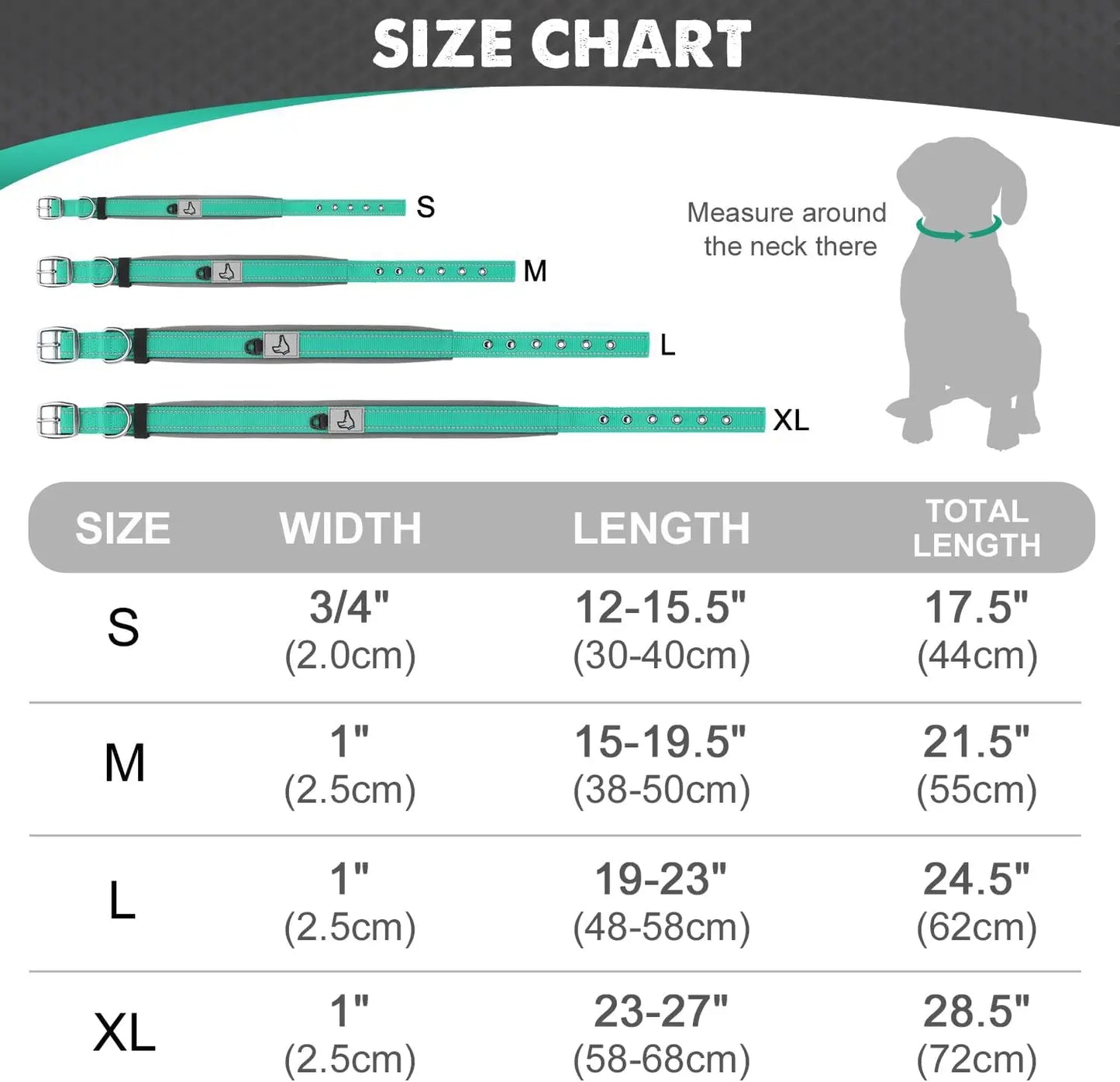 Reflective Padded Heavy-Duty Dog Collar