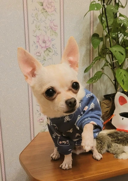 Small Dog Pet Jacket Shirt