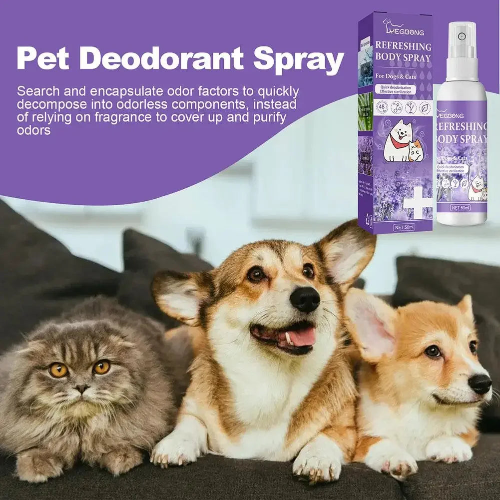 Lavender Dog Deodorizing Spray for Odor Control