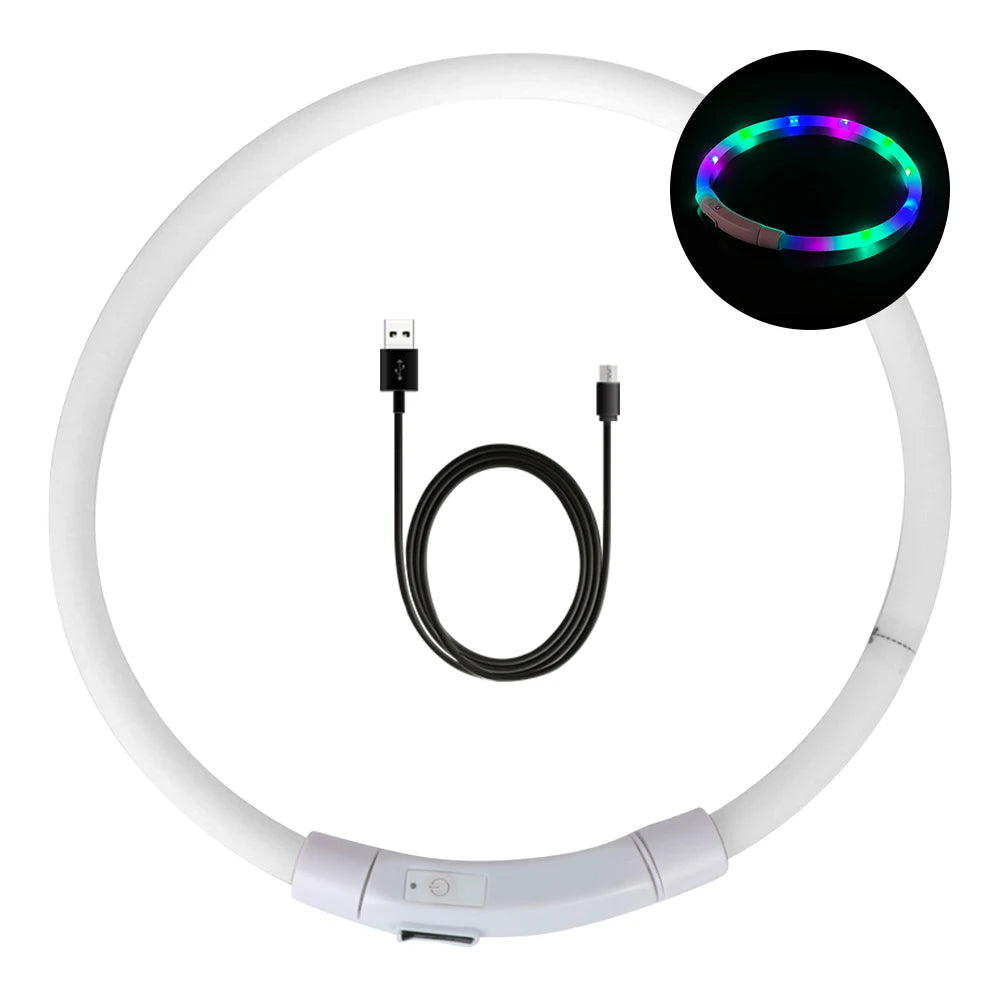 USB Rechargeable LED Dog Safety Collar