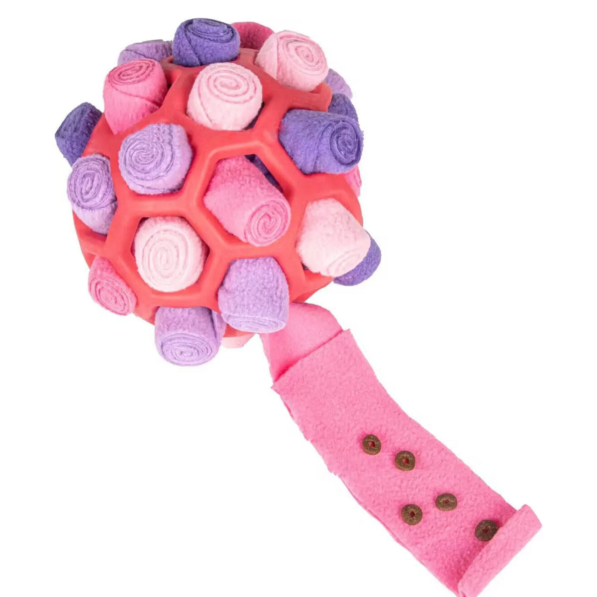 Dog Sniffing Ball Toy