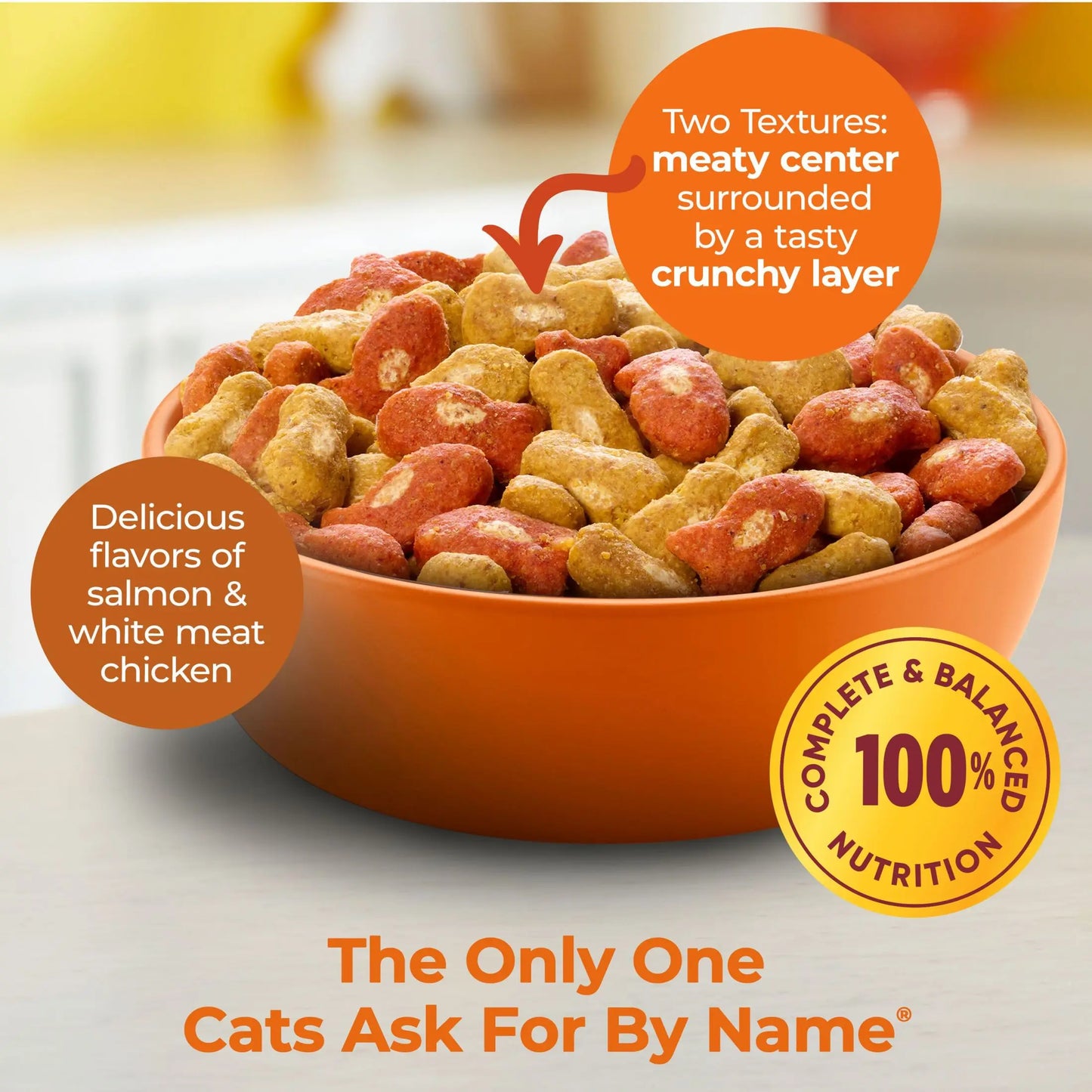 Salmon & Chicken Dry Cat Food