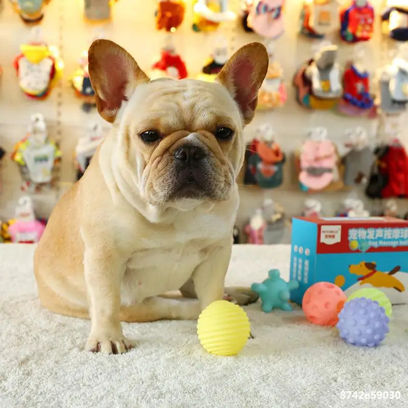 Squeaky Rubber Dog Ball Toy