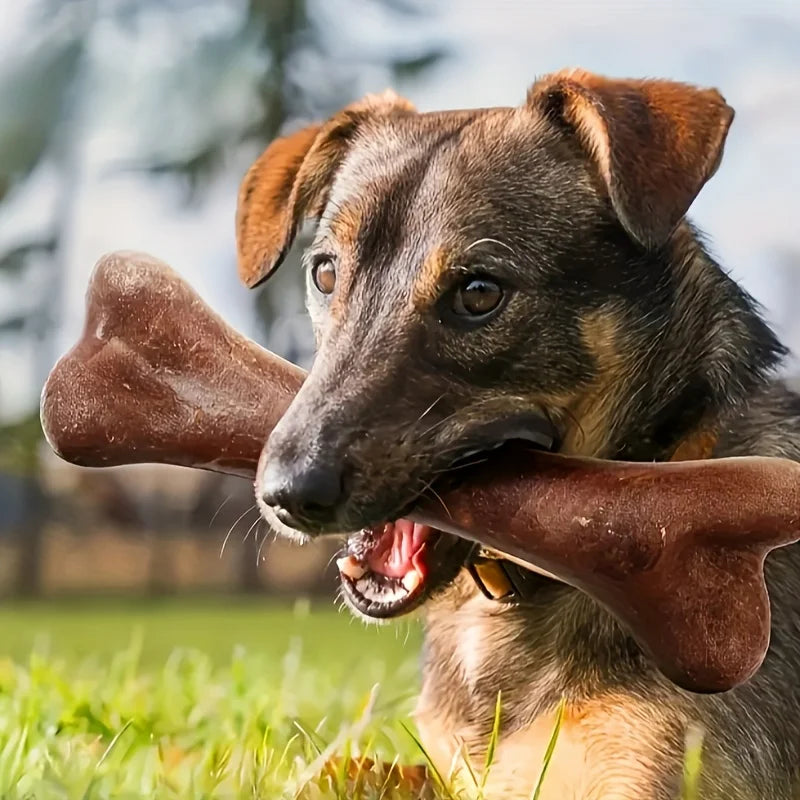 Beef Flavored Durable Dog Chew Bone Toy