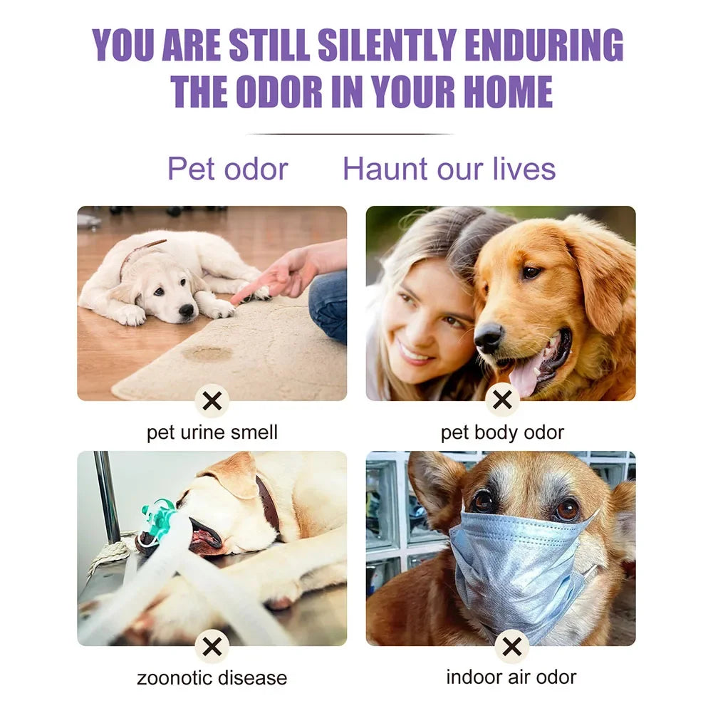 Lavender Dog Deodorizing Spray for Odor Control