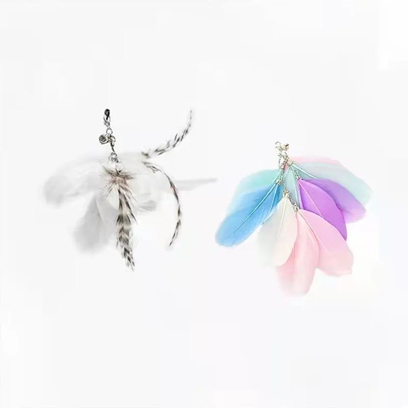 Interactive Bird Feather Cat Teaser Toy