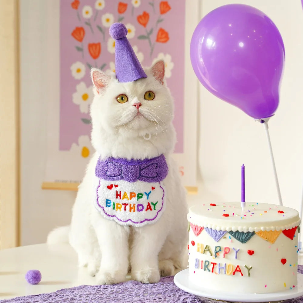Pet Birthday Hat & Scarf Set