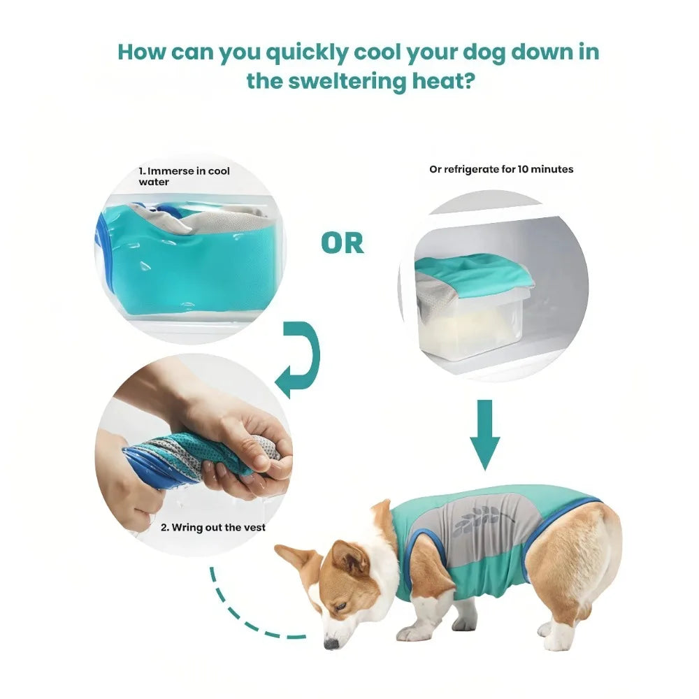 Cooling Pet Vest