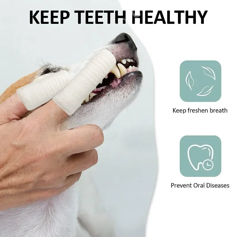 Pet Finger Toothbrush Set (12/24 pcs)