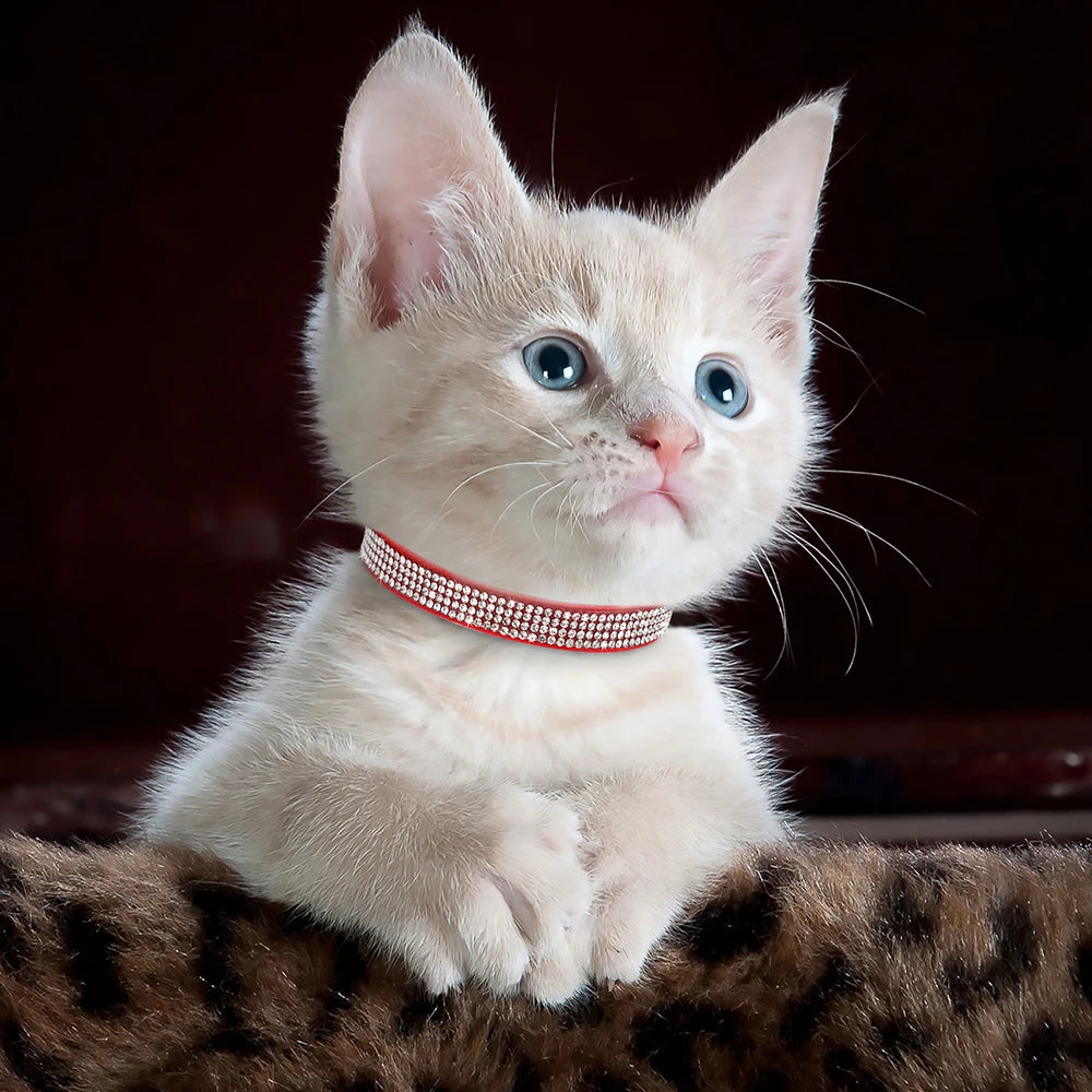 Soft Suede Cat Collar with Bell & Safety Buckle