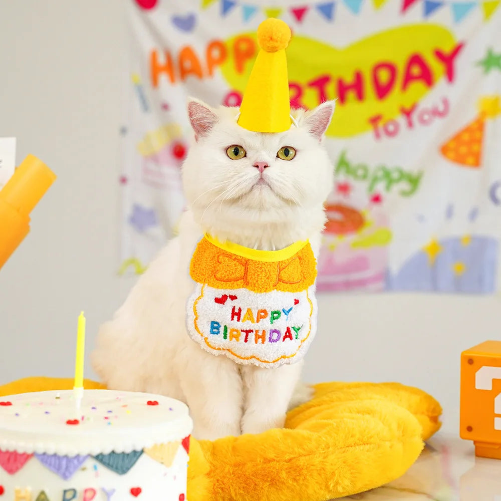 Pet Birthday Hat & Scarf Set