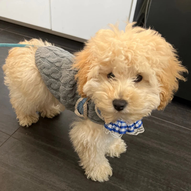 Knitted Pet Sweater