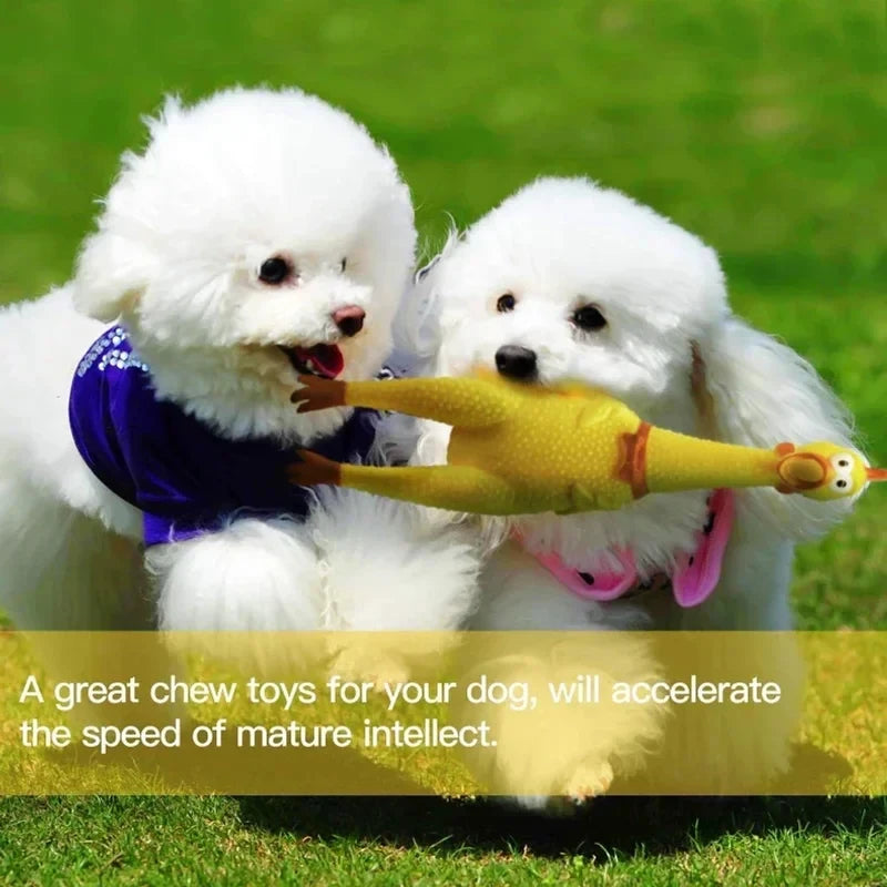 Squeaky Screaming Chicken Dog Toy