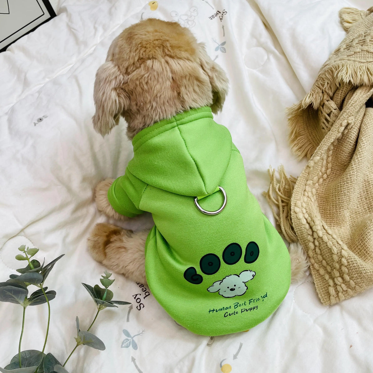 Cartoon Pet Sweater