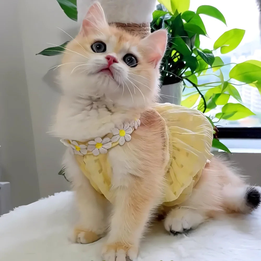 Floral Pet Dress