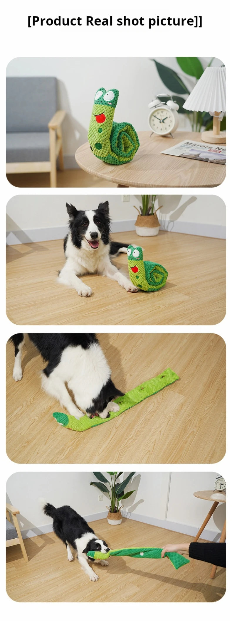 Interactive Snail Puzzle Feeder Dog Toy